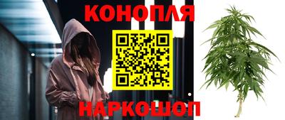 крисы Донской